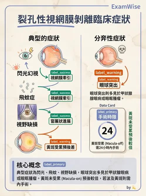 驗光生 - 視網膜與玻璃體疾病 - AI 圖文解析預覽