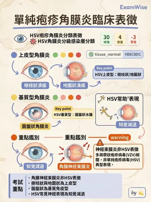 驗光生 - 角膜、結膜與眼前段疾病 - AI 圖文解析預覽