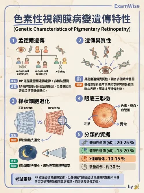 驗光生 - 視網膜與玻璃體疾病 - AI 圖文解析預覽