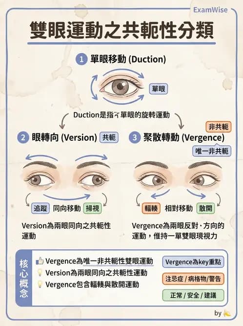 驗光生 - 眼球運動、內聚功能與瞳孔反應檢查 - AI 圖文解析預覽