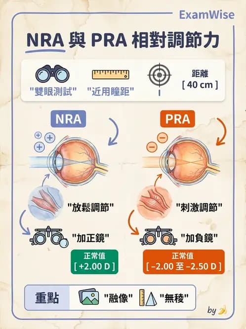 驗光生 - 調節機制與幅度量測原理 - AI 圖文解析預覽