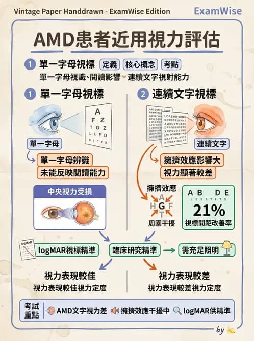 驗光生 - 老花眼基礎概念與調節幅度 - AI 圖文解析預覽