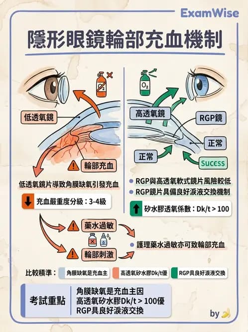 驗光生 - 角膜缺氧與結構性變化 - AI 圖文解析預覽