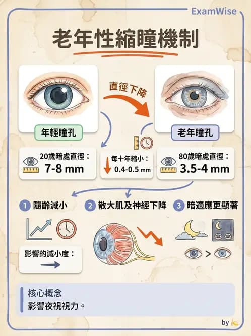 驗光生 - 老花隱形眼鏡設計選擇與適合對象評估 - AI 圖文解析預覽