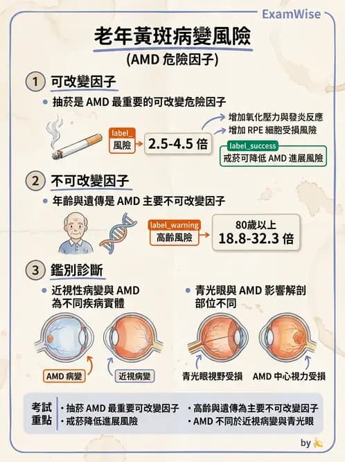 驗光生 - 視網膜與玻璃體疾病 - AI 圖文解析預覽