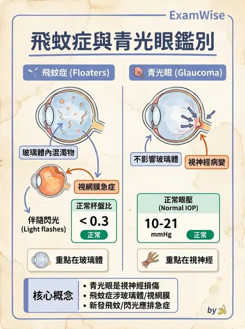 驗光生 - 視網膜與玻璃體疾病 - AI 圖文解析預覽