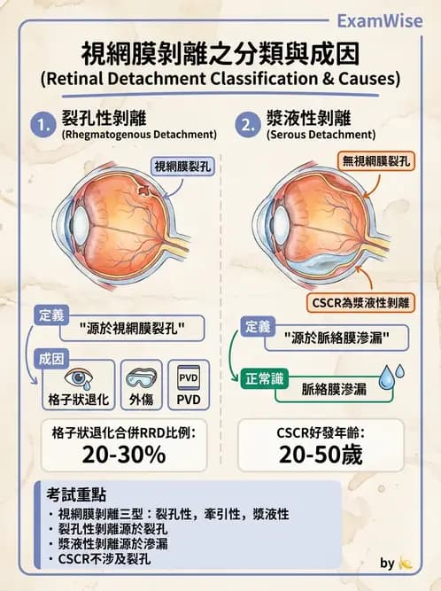 驗光生 - 視網膜與玻璃體疾病 - AI 圖文解析預覽