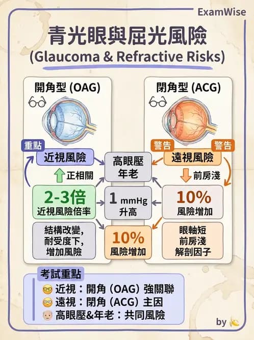 驗光生 - 青光眼與水晶體疾病 - AI 圖文解析預覽
