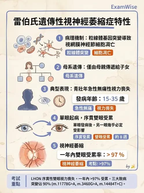 驗光生 - 全身性疾病眼部表現與神經眼科 - AI 圖文解析預覽