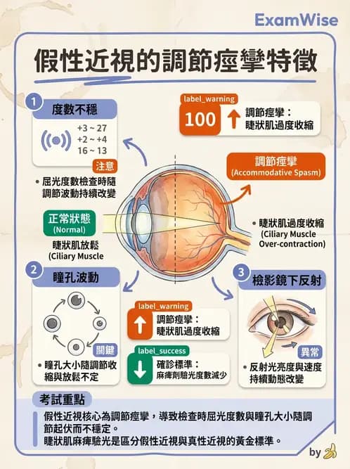 驗光生 - 視網膜檢影鏡操作原理、判讀與特殊檢查 - AI 圖文解析預覽