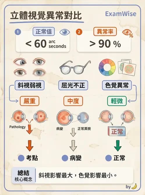 驗光生 - 雙眼感知與融像檢查 - AI 圖文解析預覽