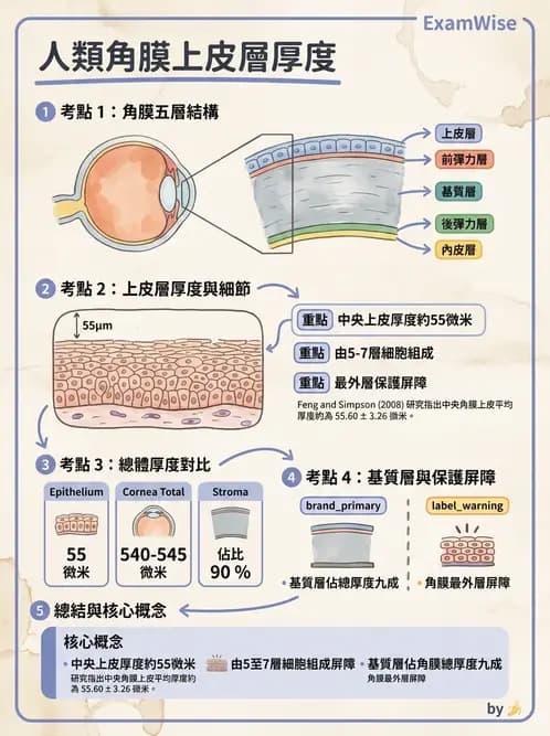 驗光生 - 眼前段檢查與角膜測量 - AI 圖文解析預覽