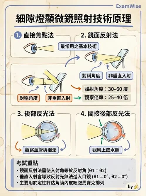驗光生 - 眼前段檢查與角膜測量 - AI 圖文解析預覽