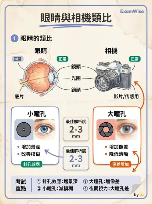 驗光生 - 視覺功能、視野與電生理檢查 - AI 圖文解析預覽
