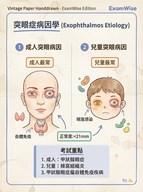 驗光生 - 全身性疾病眼部表現與神經眼科 - AI 圖文解析預覽