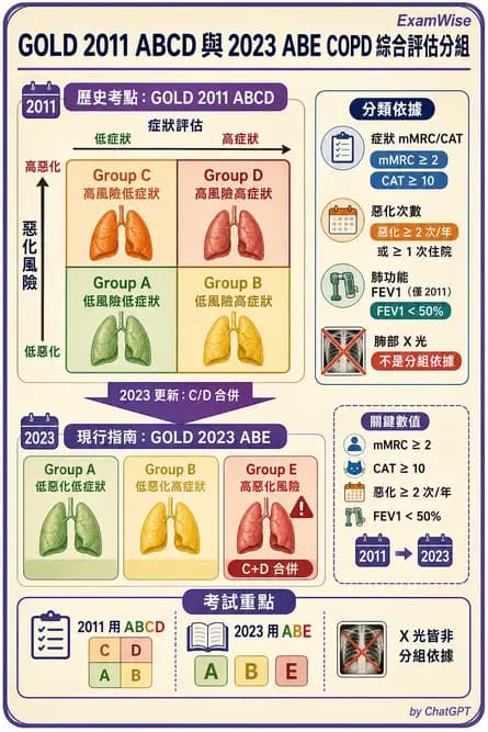 專師 - 阻塞性肺病 - AI 圖文解析預覽