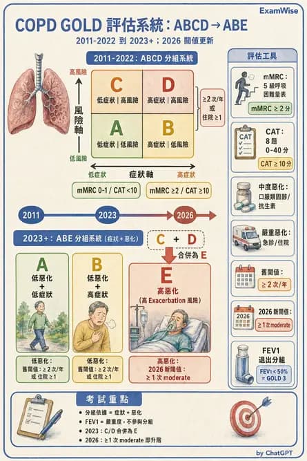 專師 - 阻塞性肺病 - AI 圖文解析預覽