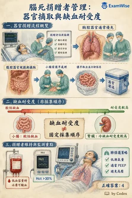 麻醉專護 - 器官移植與腦死捐贈麻醉 - AI 圖文解析預覽