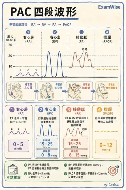 麻醉專護 - 術中生理監測技術 - AI 圖文解析預覽