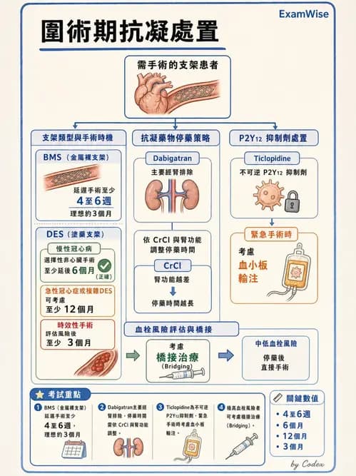 麻醉專護 - 術前評估與風險管理 - AI 圖文解析預覽
