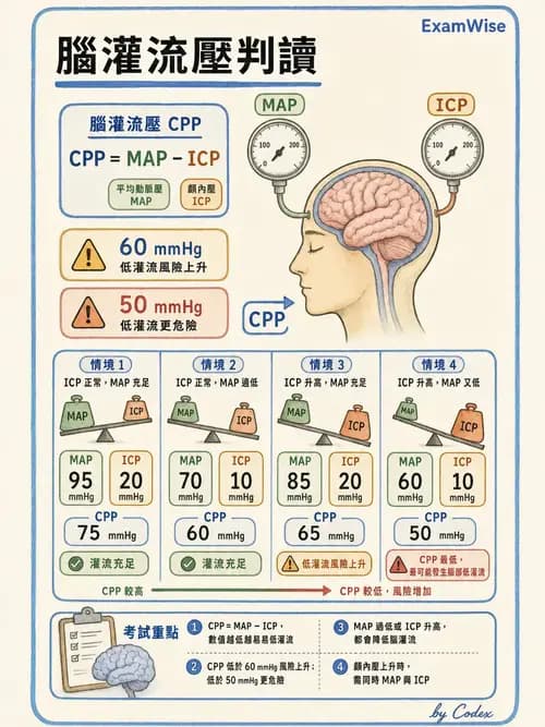 麻醉專護 - 腎臟肝臟疾病與神經生理評估 - AI 圖文解析預覽